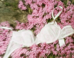 wildflowers-image