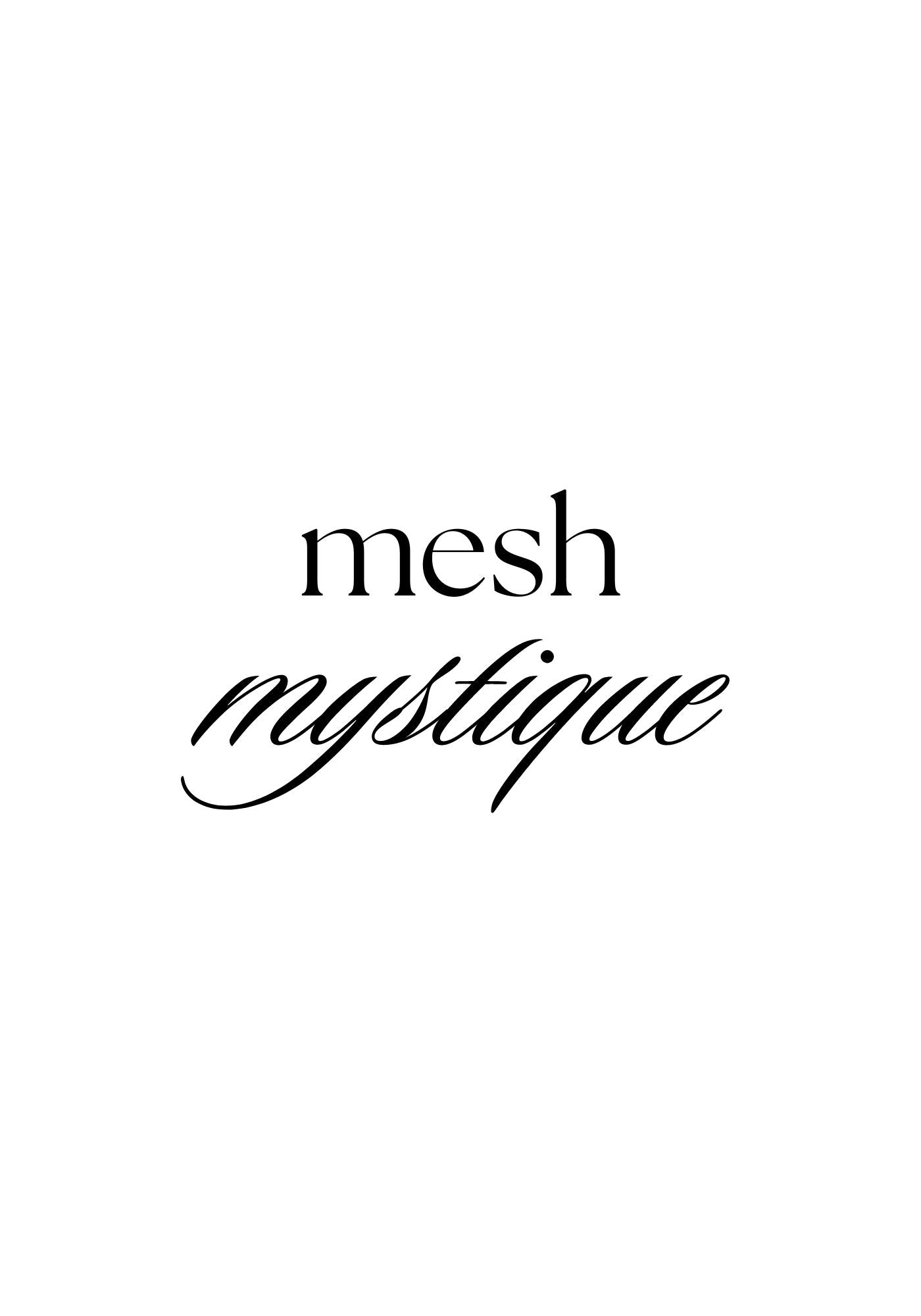 mesh mystique