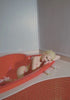  -  promo block static - 1/15/2026 - V-DAY view all static 1