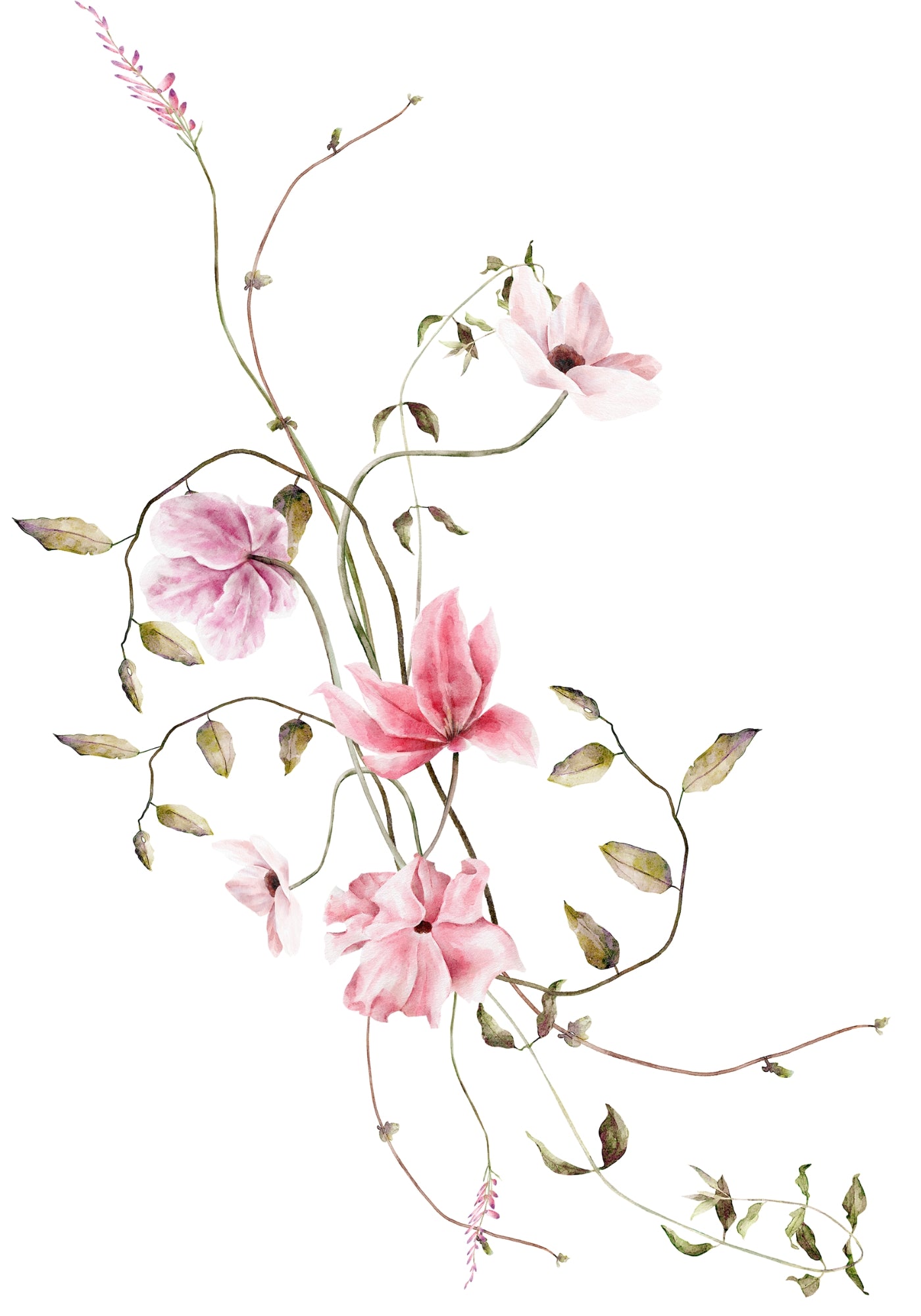 wildflowers